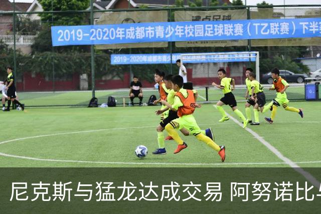 尼克斯与猛龙达成交易 阿努诺比与巴雷特互换